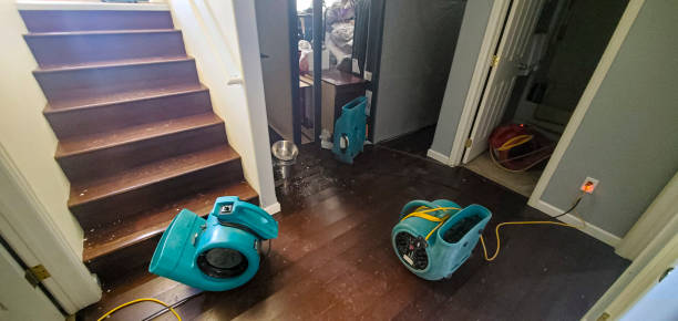 Best Flooded house restoration  in Port Reading, NJ