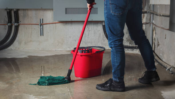 Best Carpet water damage restoration  in Port Reading, NJ