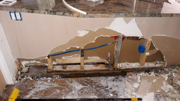 Best Mold removal after water damage  in Port Reading, NJ