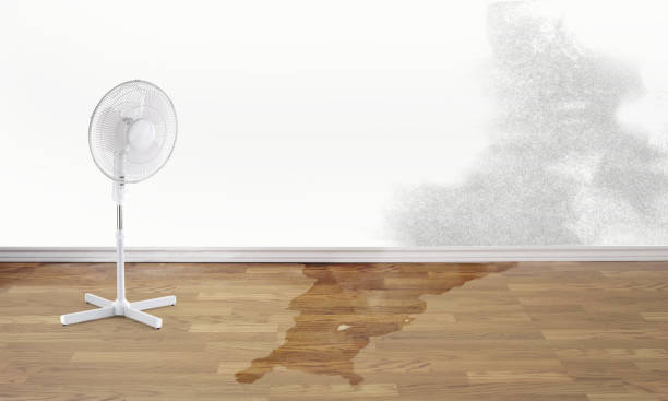 Best Flooded house restoration  in Port Reading, NJ