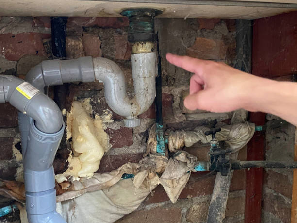 Best Flooded house restoration  in Port Reading, NJ
