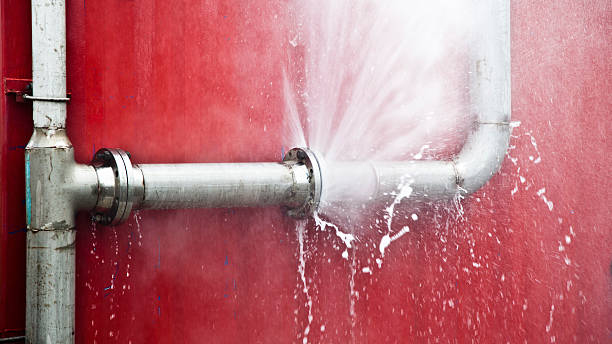 Best Mold removal after water damage  in Port Reading, NJ